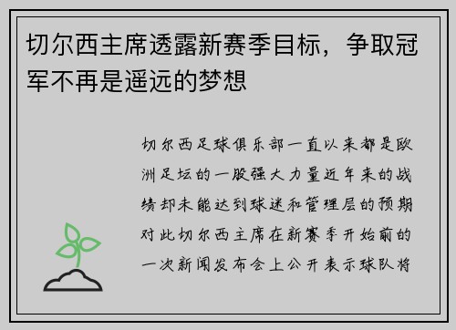 切尔西主席透露新赛季目标，争取冠军不再是遥远的梦想